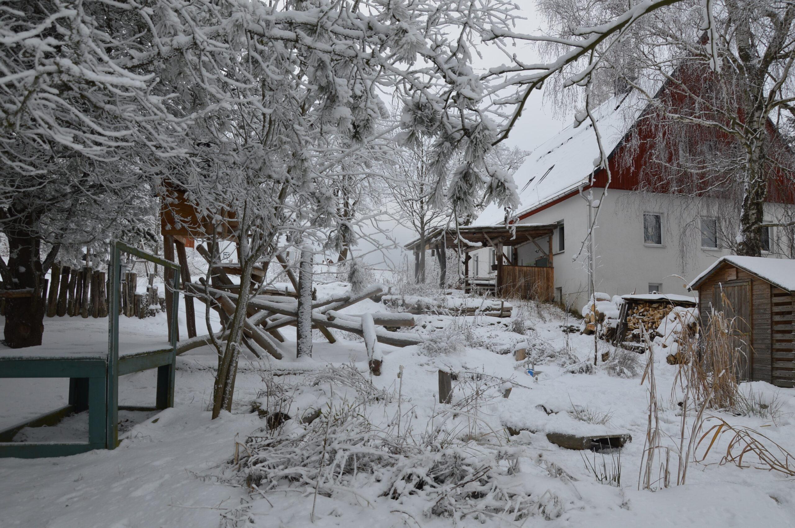 Wintercamp "Junge Naturwächter" 2025