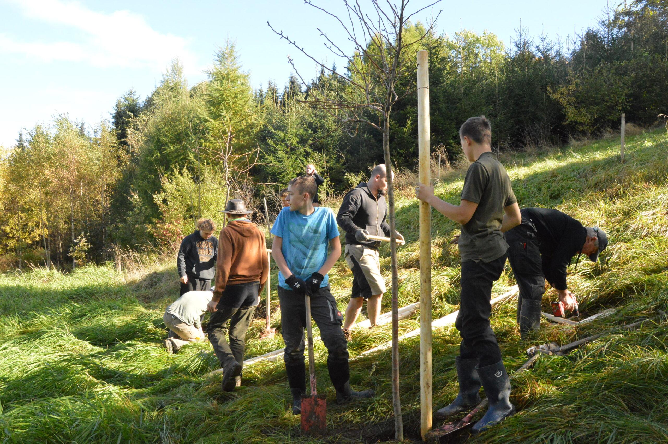 Baumpflanzung "Einheitsbuddeln"