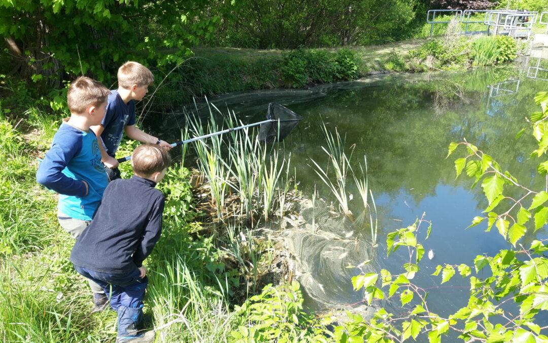 Rückblick Naturforscherclub Mai: Naturschutzeinsatz am Feuchtbiotop „Hofteich“