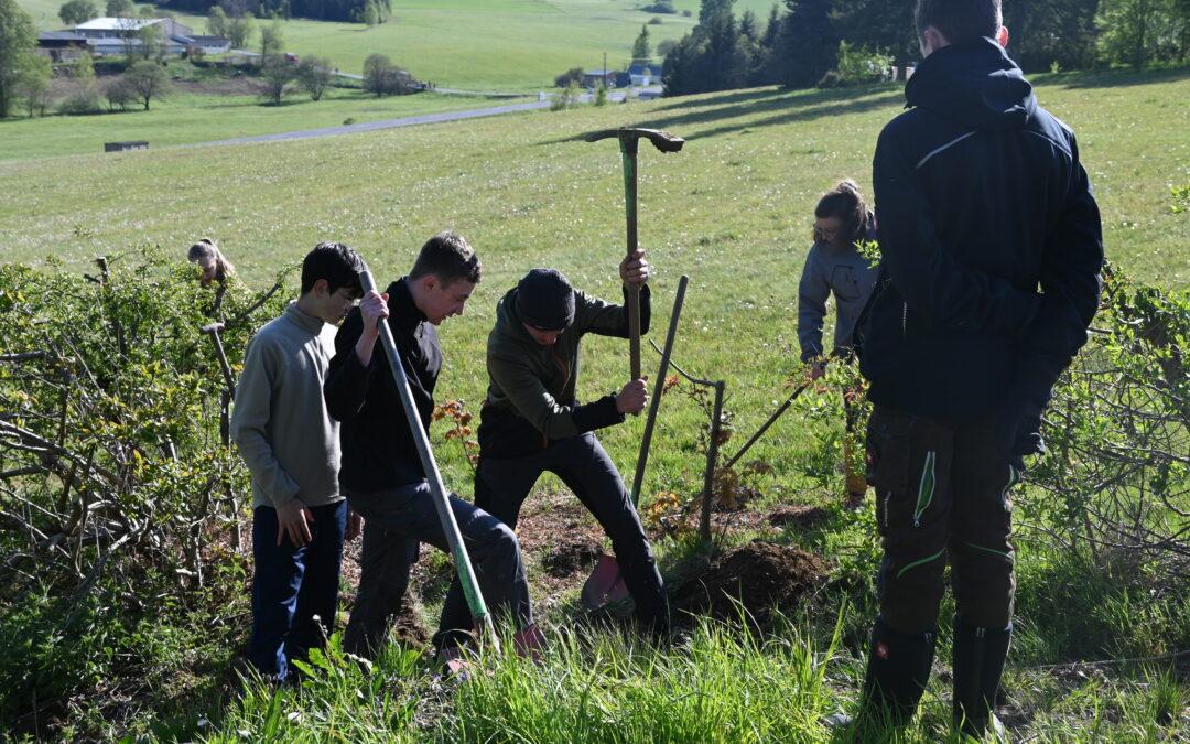 Naturforscherclub Mai „Zugvögel“-  Bienenburgbau