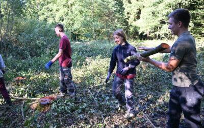 Rückblick: Naturforscherclub September  – Naturschutzeinsatz im Naturschutzgebiet „Sieben Teiche“
