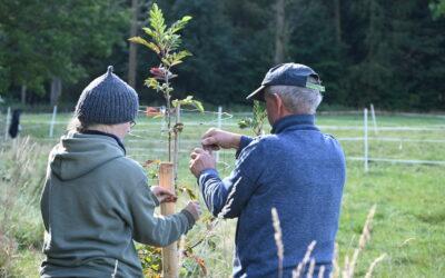 Rückblick: Einheitsbuddeln 03.10.2025
