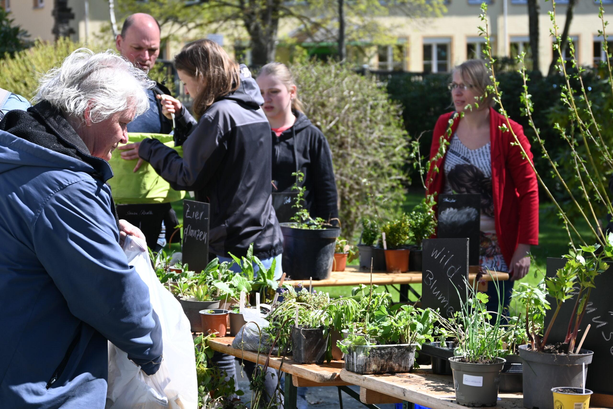 Familiennaturschutztag mit Pflanzen- und Saatguttauschbörse/"Fabrikfrühling"