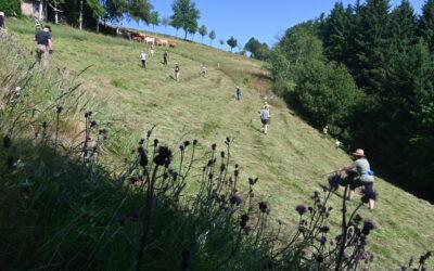 Ankündigung: Bergwiesenbegegnungen 2026