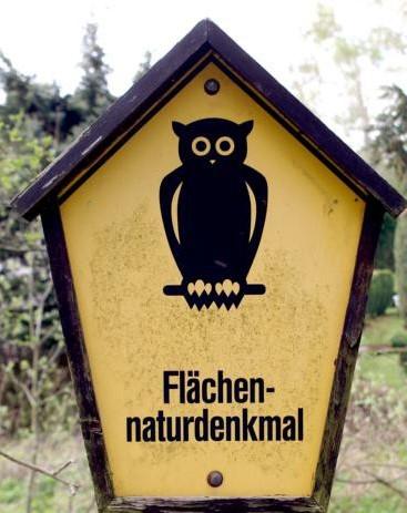 Naturforscherclub Januar - Entbuschung im Schutzgebiet