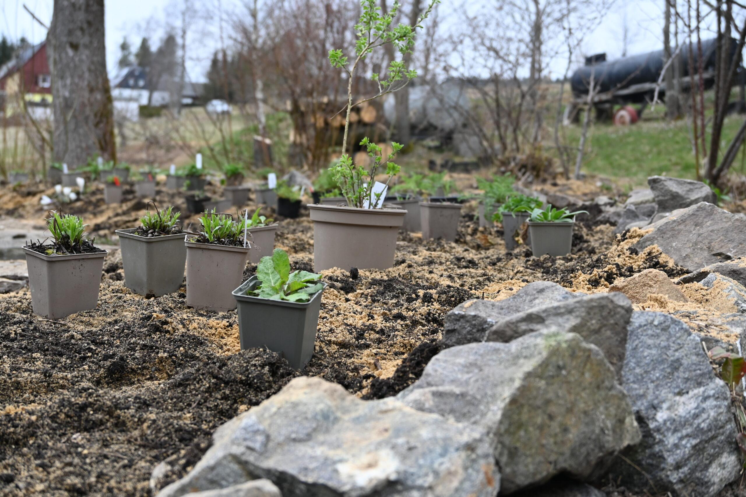Praxisseminar Naturgarten