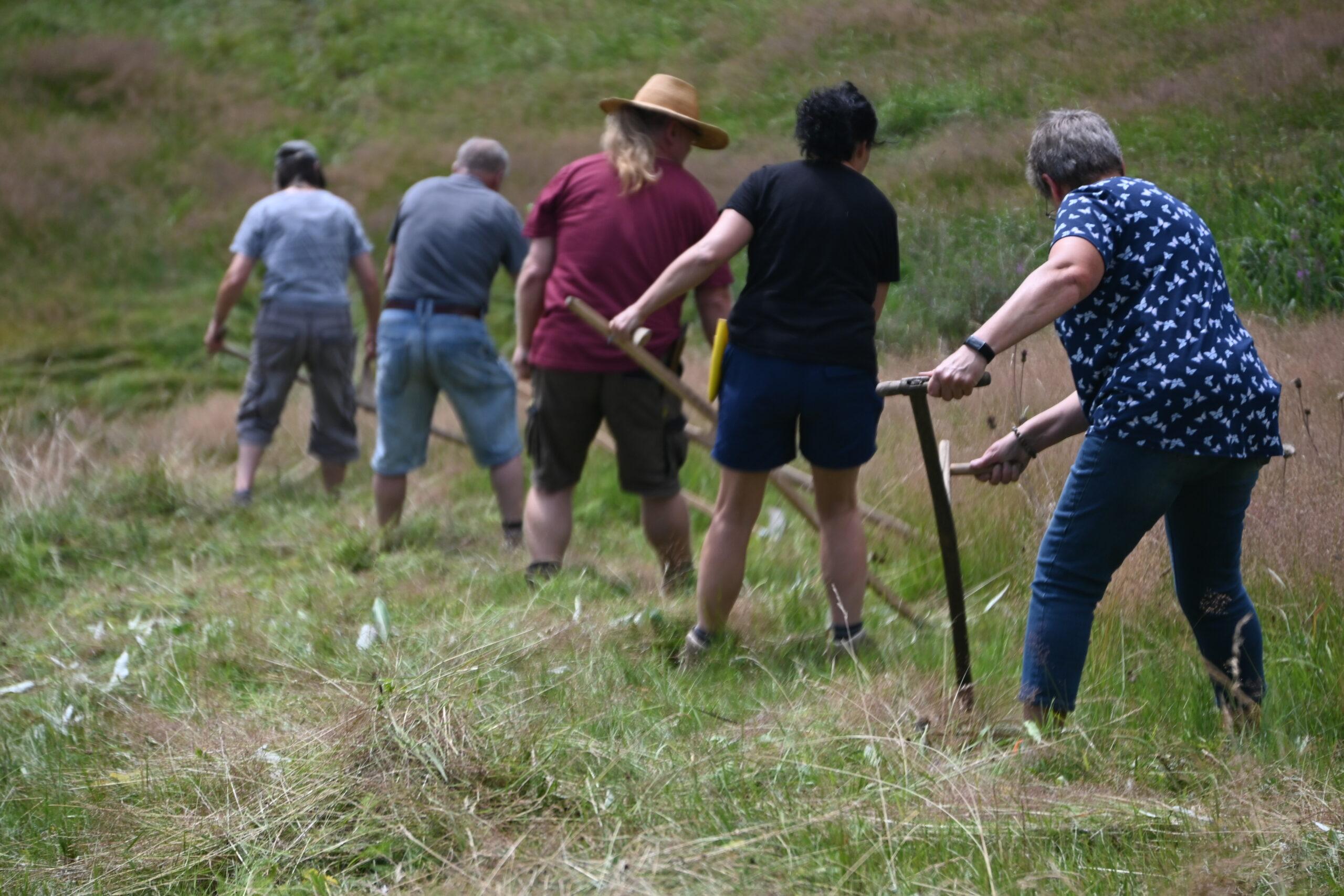 Praxisseminar Handsensen- und Dengeltechnik