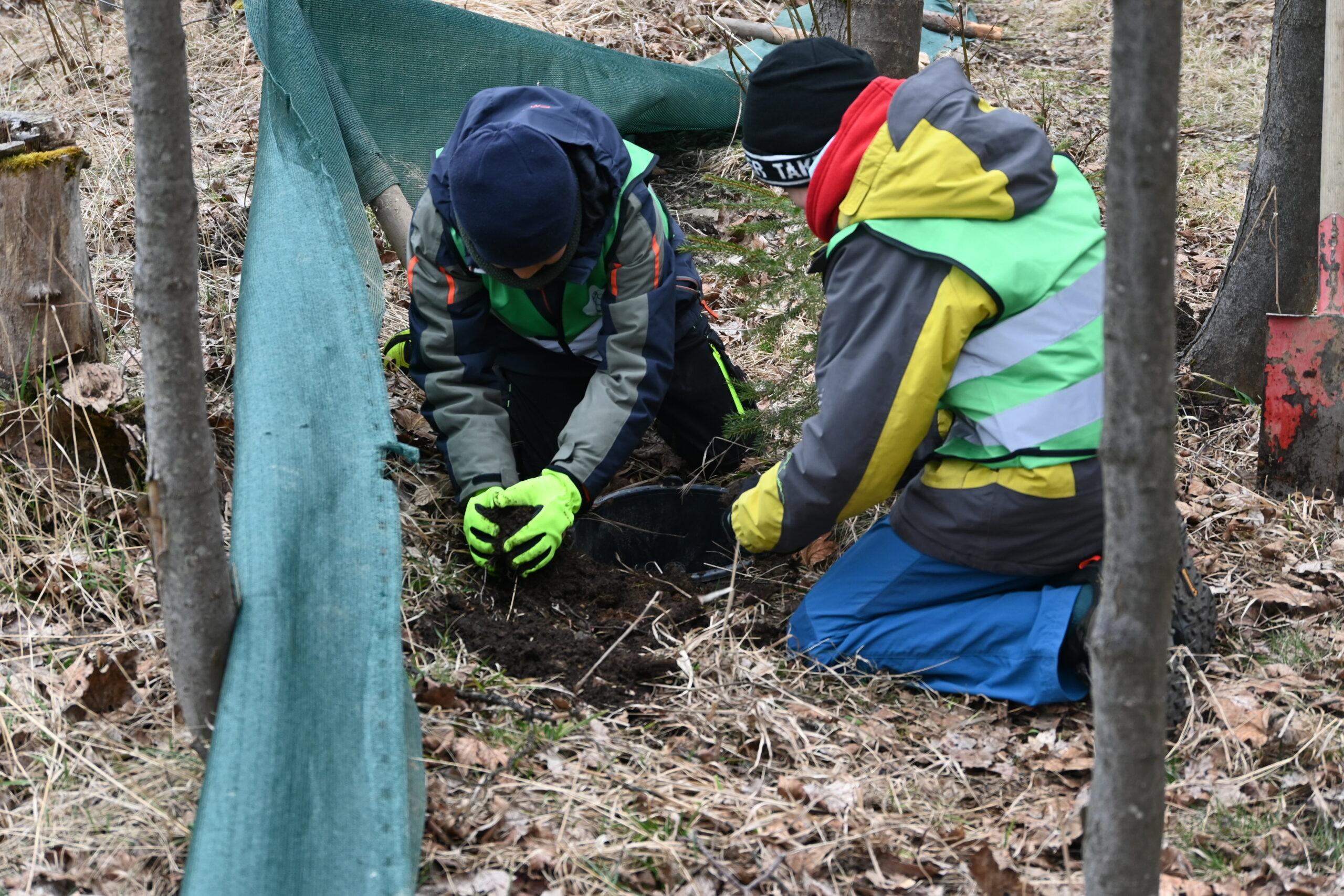 Krötenzaunbau und Amphibienschutz – Gruppe „Moorhühner“