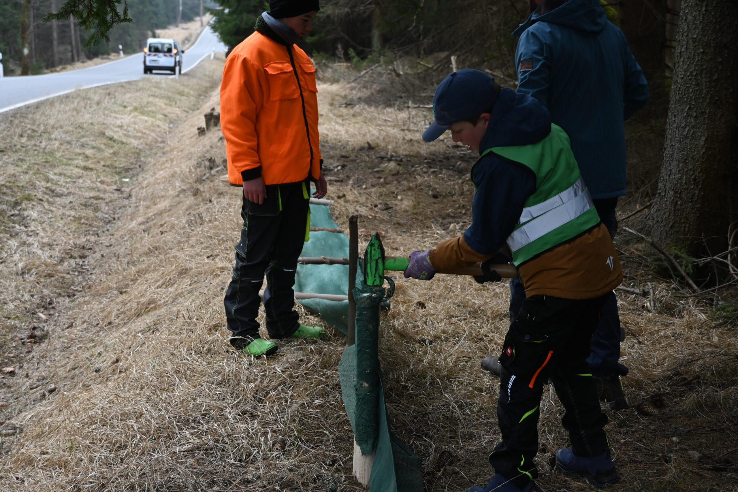 Krötenzaunbau und Amphibienschutz – Gruppe „Zugvögel“