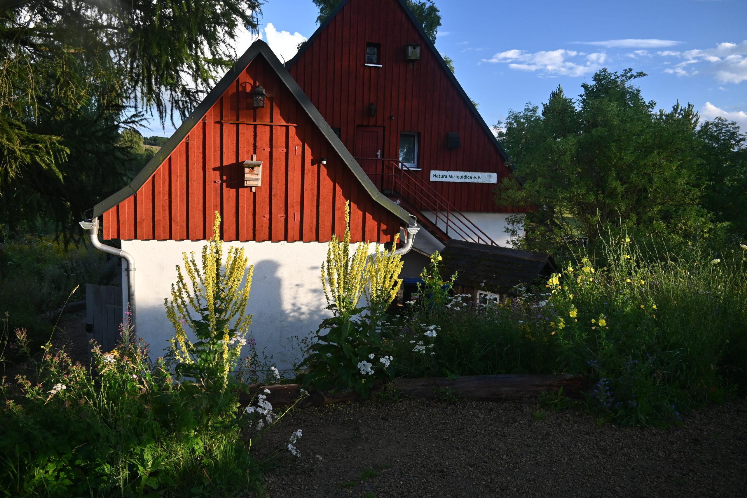 Subbotnik am Erzgebirgskamm
