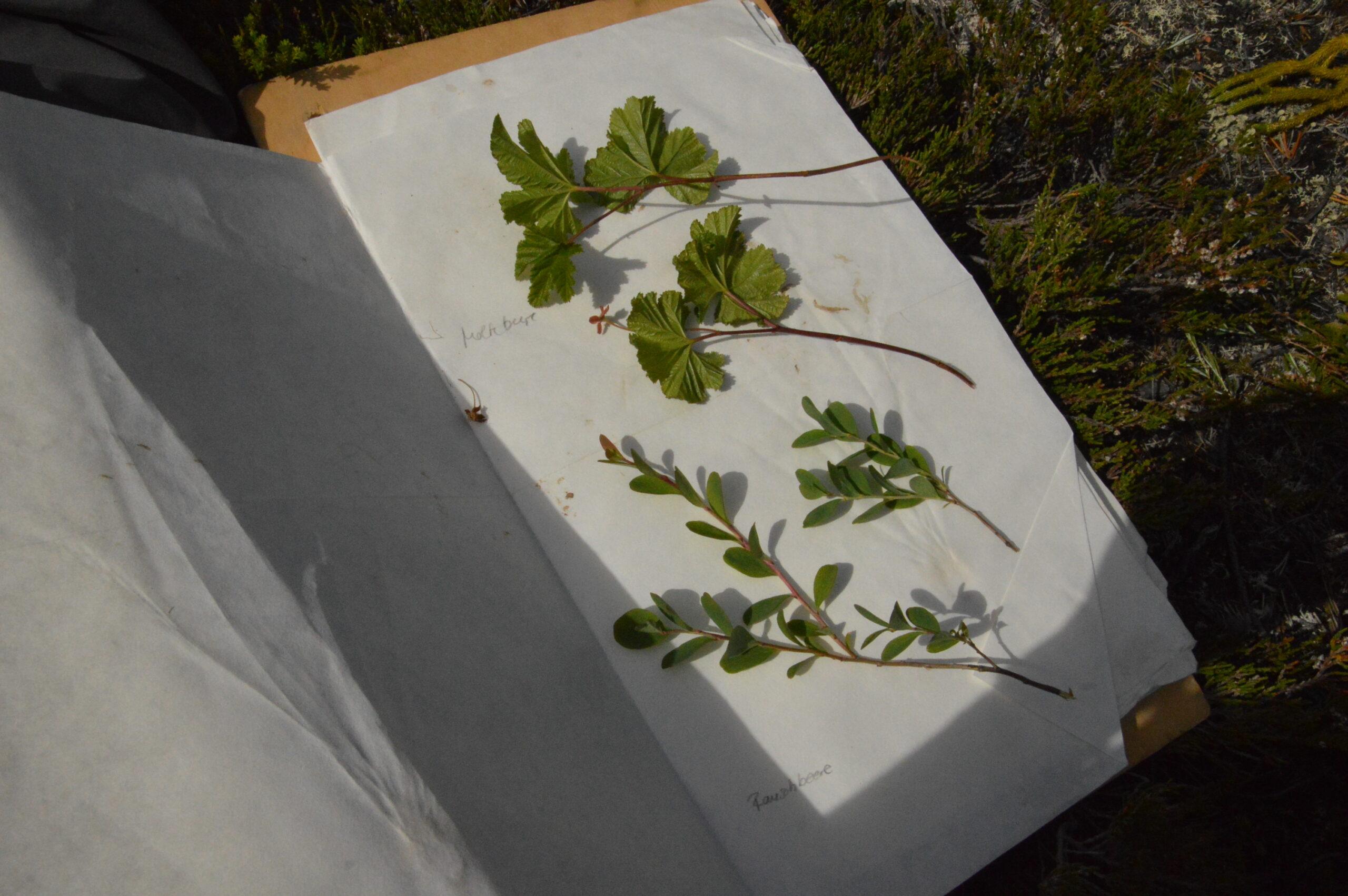 Vortreffen Expeditionsgruppe „Balkan“