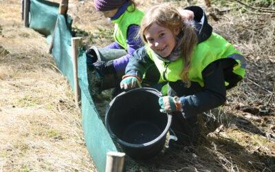 Rückblick Krötenzaun-Bau 2026