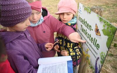 Rückblick: Naturforscherclub April – Das Leben unserer Vereinsbienen