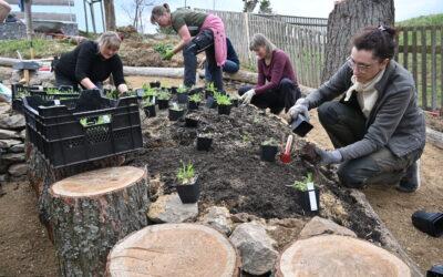 Rückblick: Subbotnik