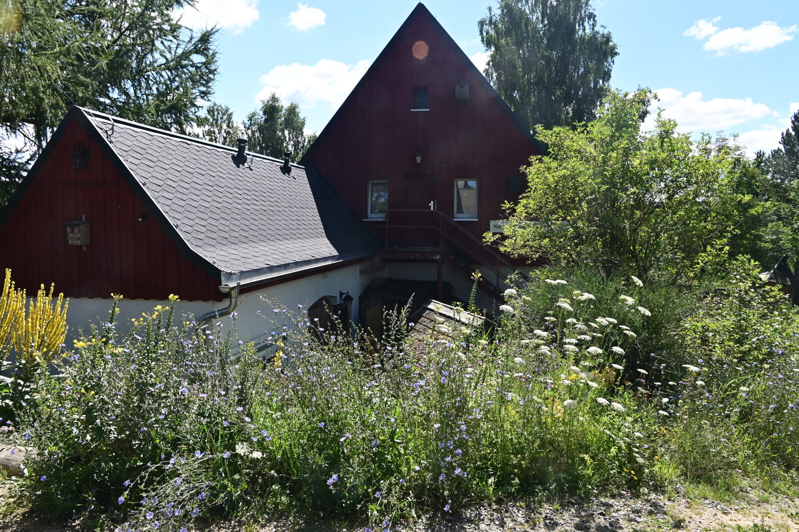 Subbotnik am Erzgebirgskamm