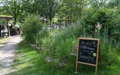 RÜCKBLICK: Sommerfest zum Vereinsjubiläum