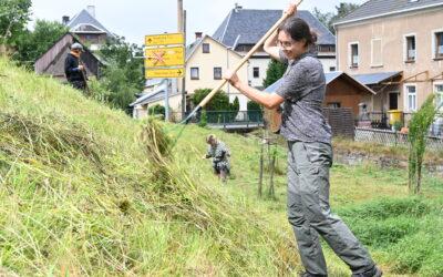 Rückblick: BergwiesenBegegnungen 2026 – Heuernte in Rübenau