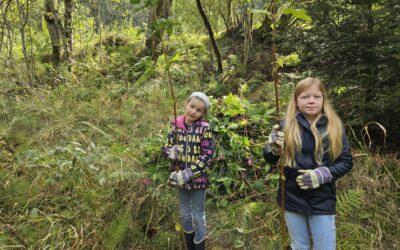 Rückblick: Naturforscherclub September – Naturschutzeinsatz im Naturschutzgebiet „Sieben Teiche“